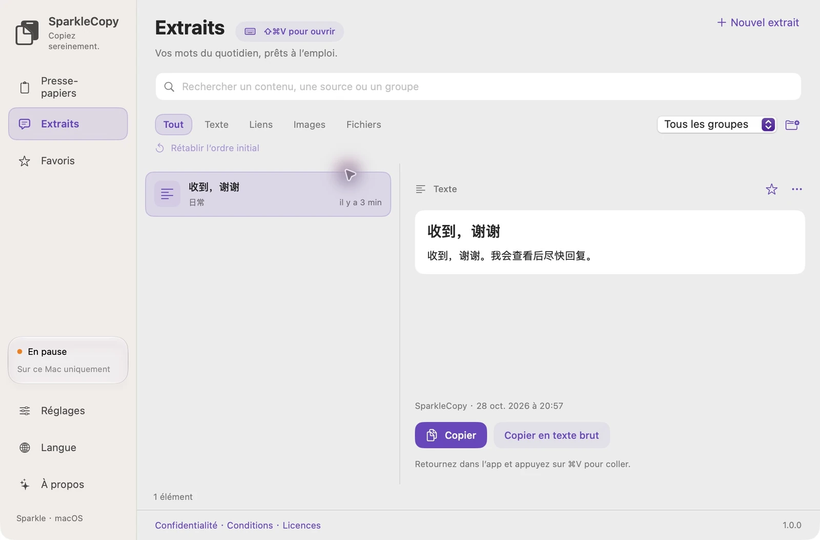 Zone d'extraits SparkleCopy réelle avec entrées de démonstration, sélection de groupe et aperçu des éléments