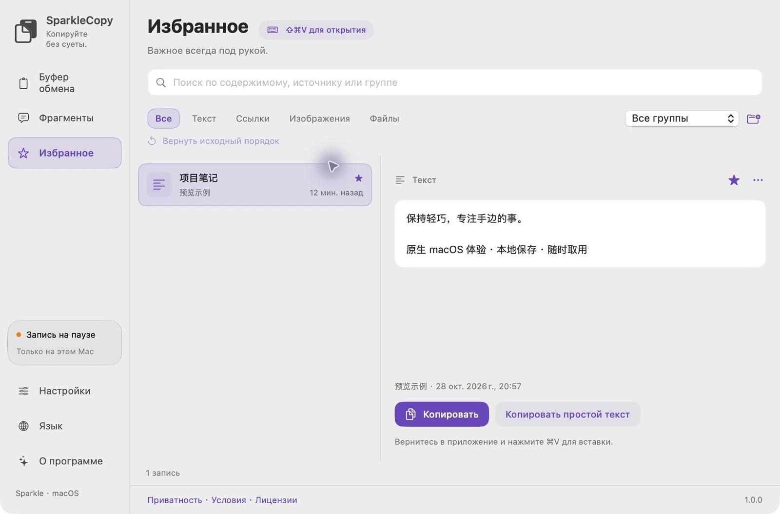 Фактическая область избранного SparkleCopy с отмеченной демонстрационной записью, выбором группы, предварительным просмотром и элементами управления копированием.