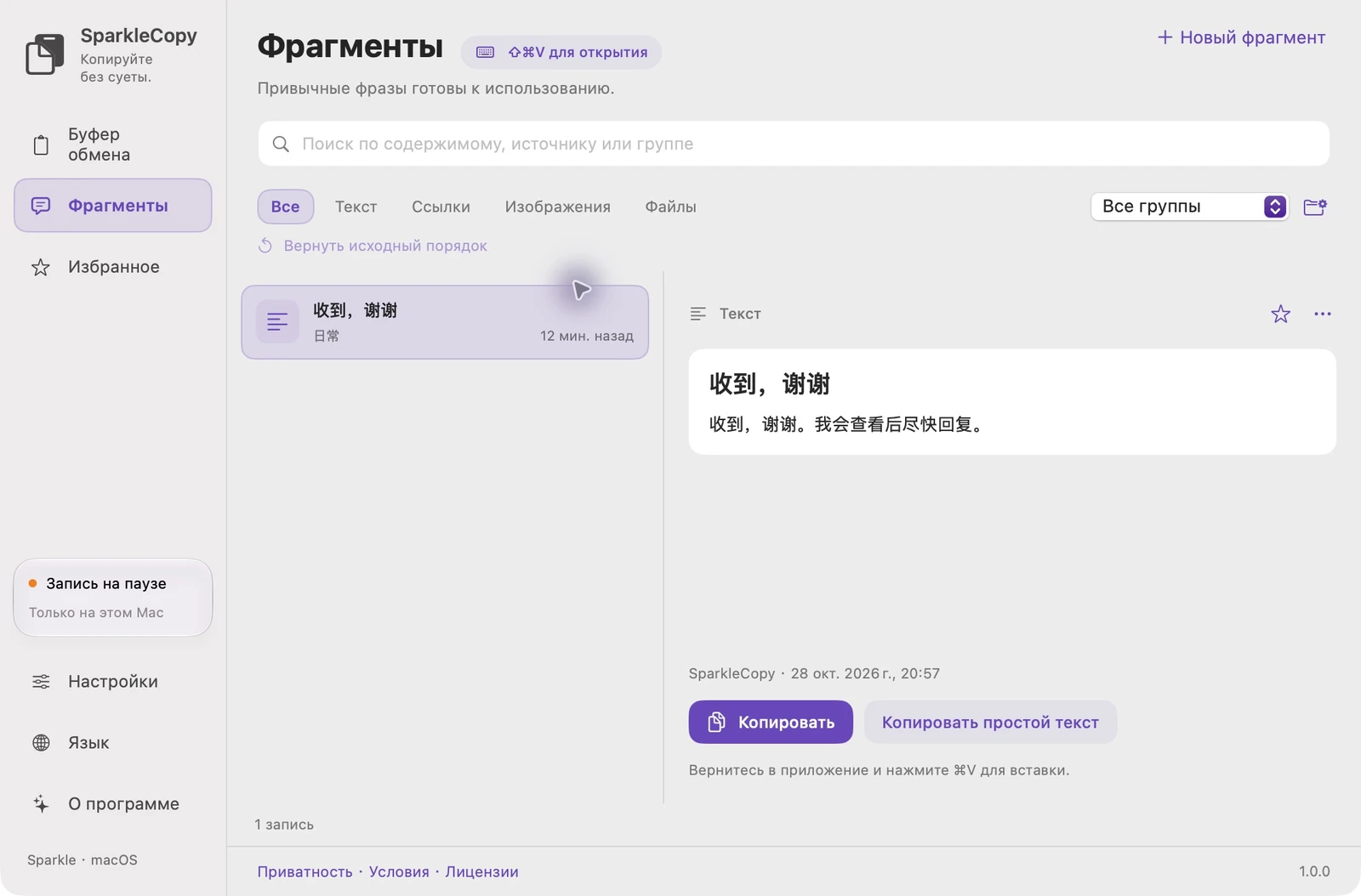 Фактическая область фрагментов SparkleCopy с демонстрационными записями, выбором группы и предварительным просмотром элементов.