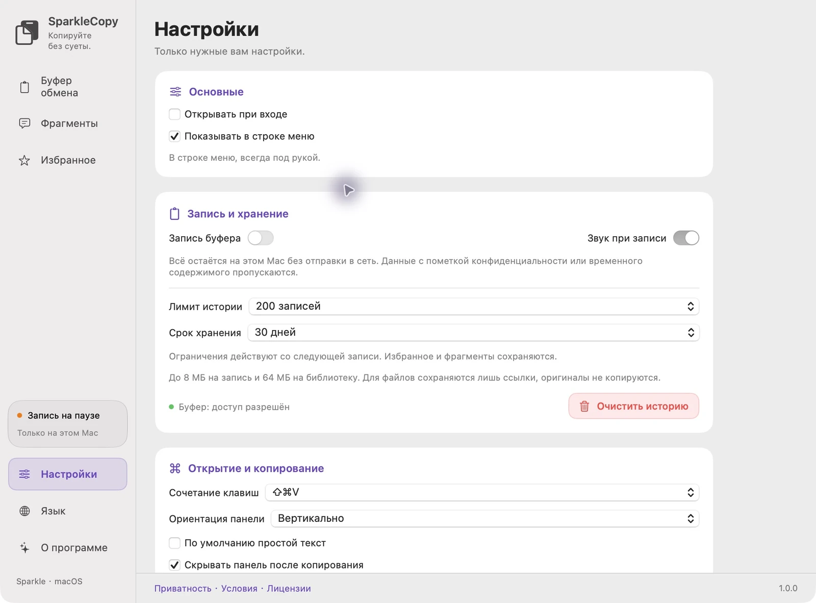 Фактическая область настроек приложения SparkleCopy с состоянием доступа, переключателем записи и элементами управления сохранением истории.